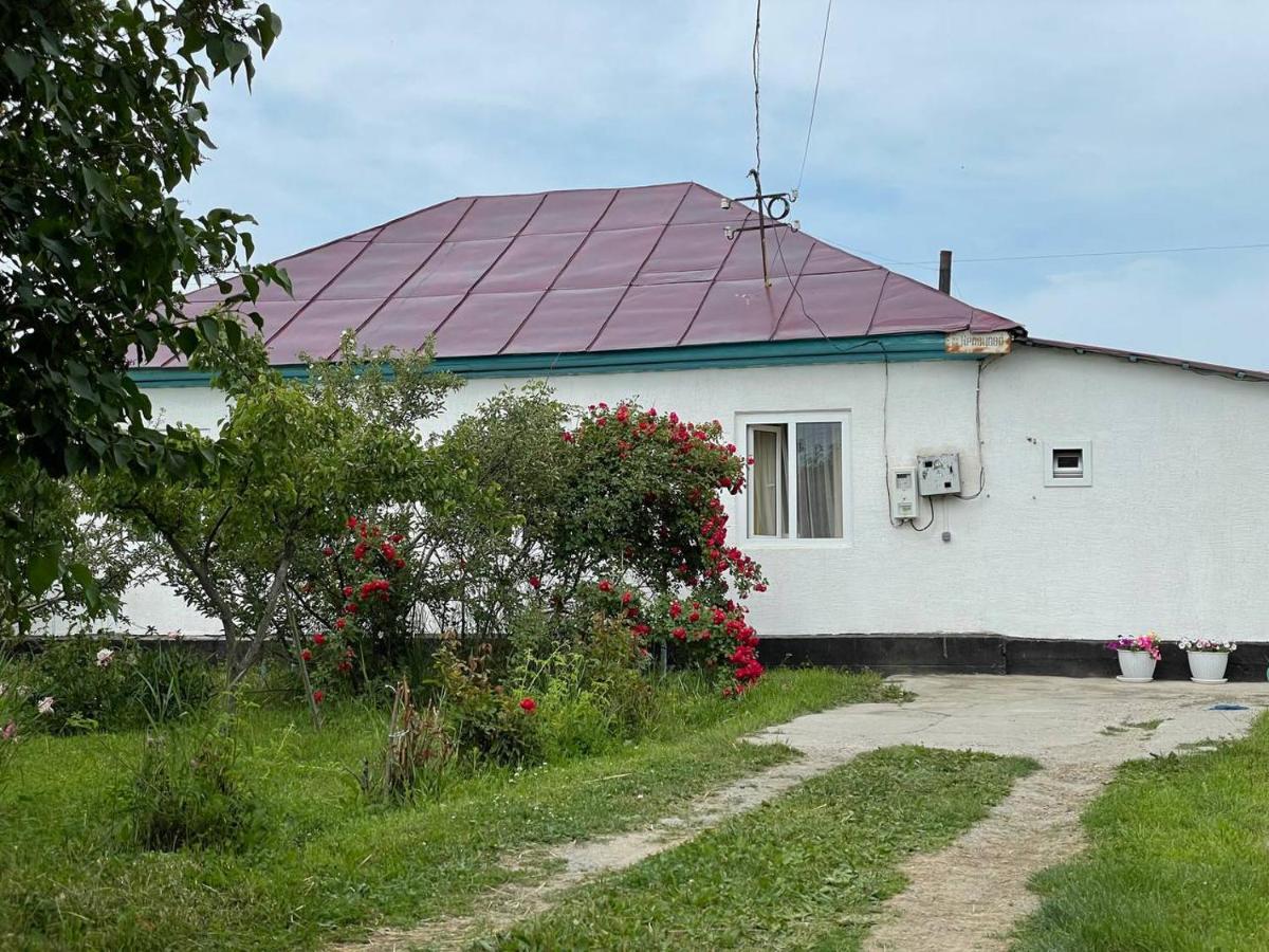 By River 246 Karakol Exterior photo